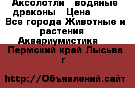 Аксолотли / водяные драконы › Цена ­ 500 - Все города Животные и растения » Аквариумистика   . Пермский край,Лысьва г.